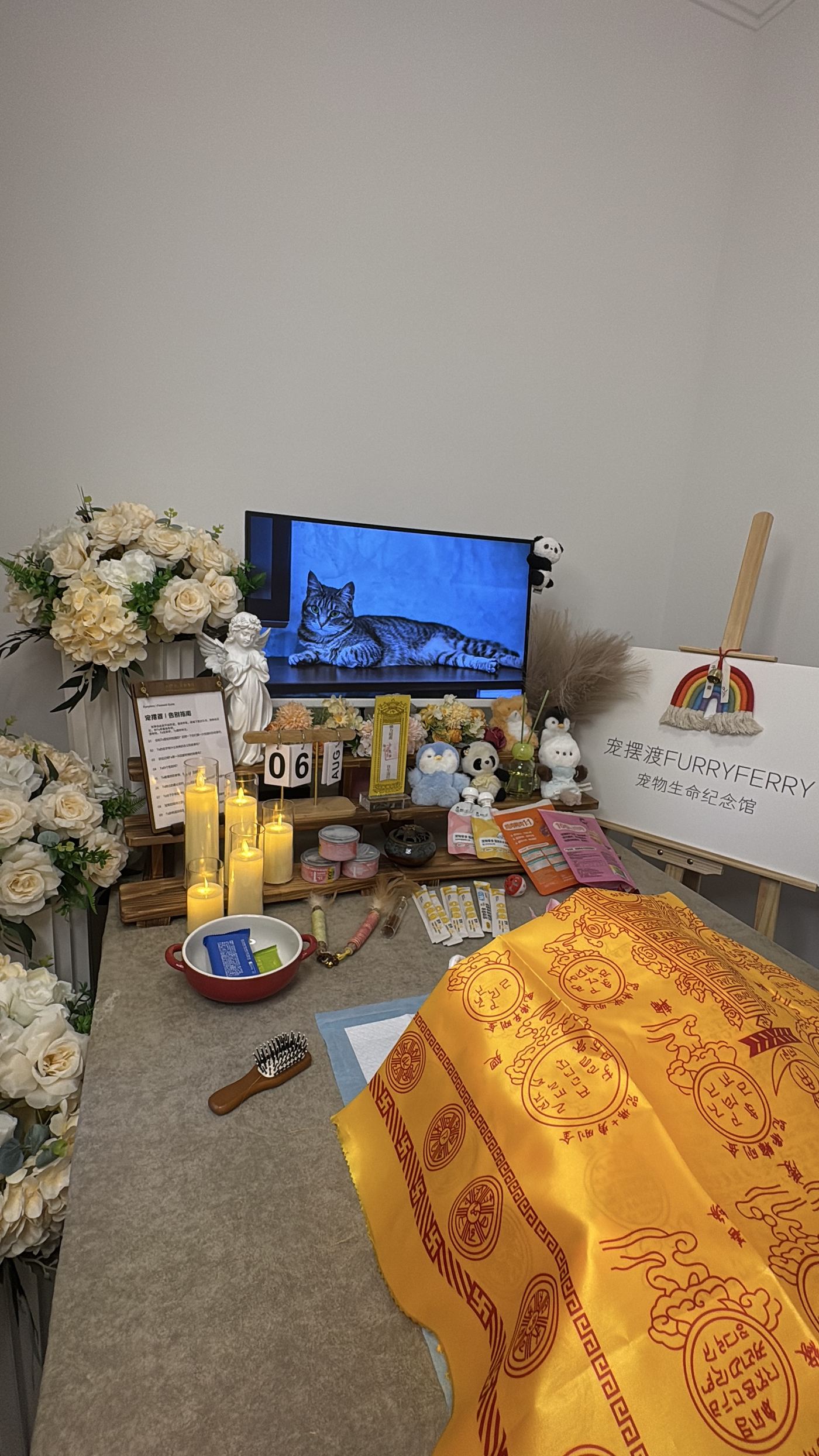 怎样搭配比较合适