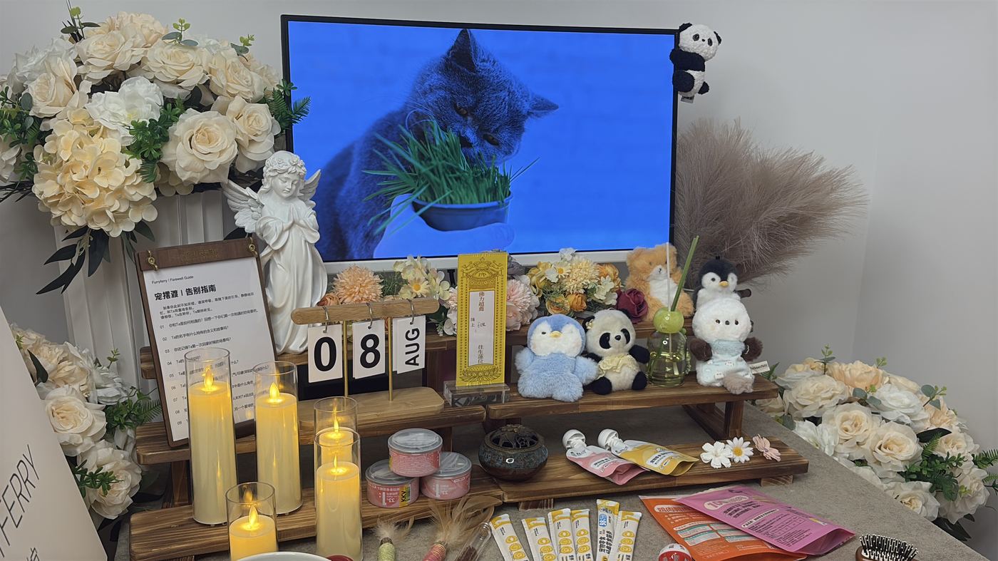 如何面对宠物离世的悲伤？写给鄂尔多斯养宠人的心理支持