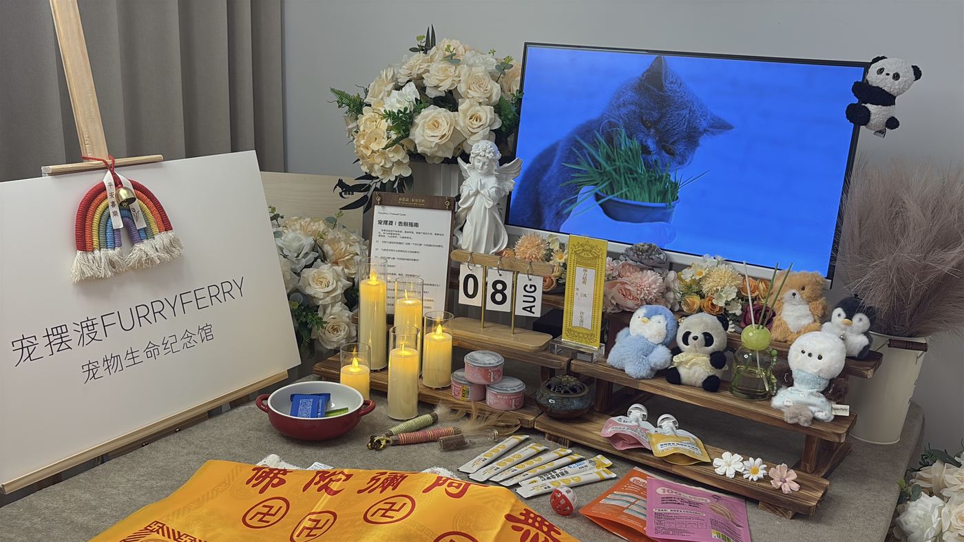 资质与实地考察