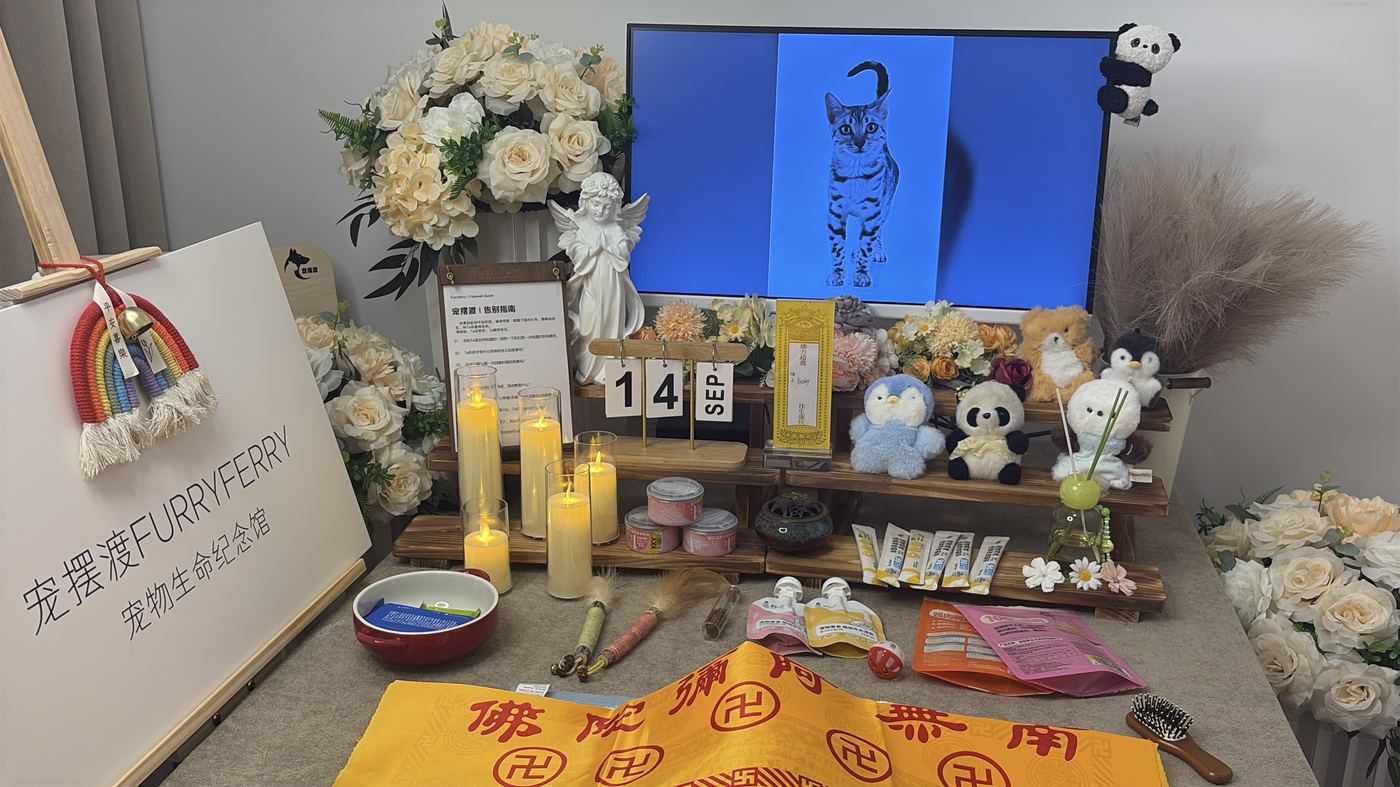 鄂尔多斯宠物火化多少钱？草原明珠火化收费全解析