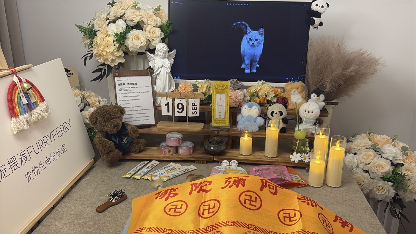 宠物纪念品怎么选？鄂尔多斯常见纪念方式盘点