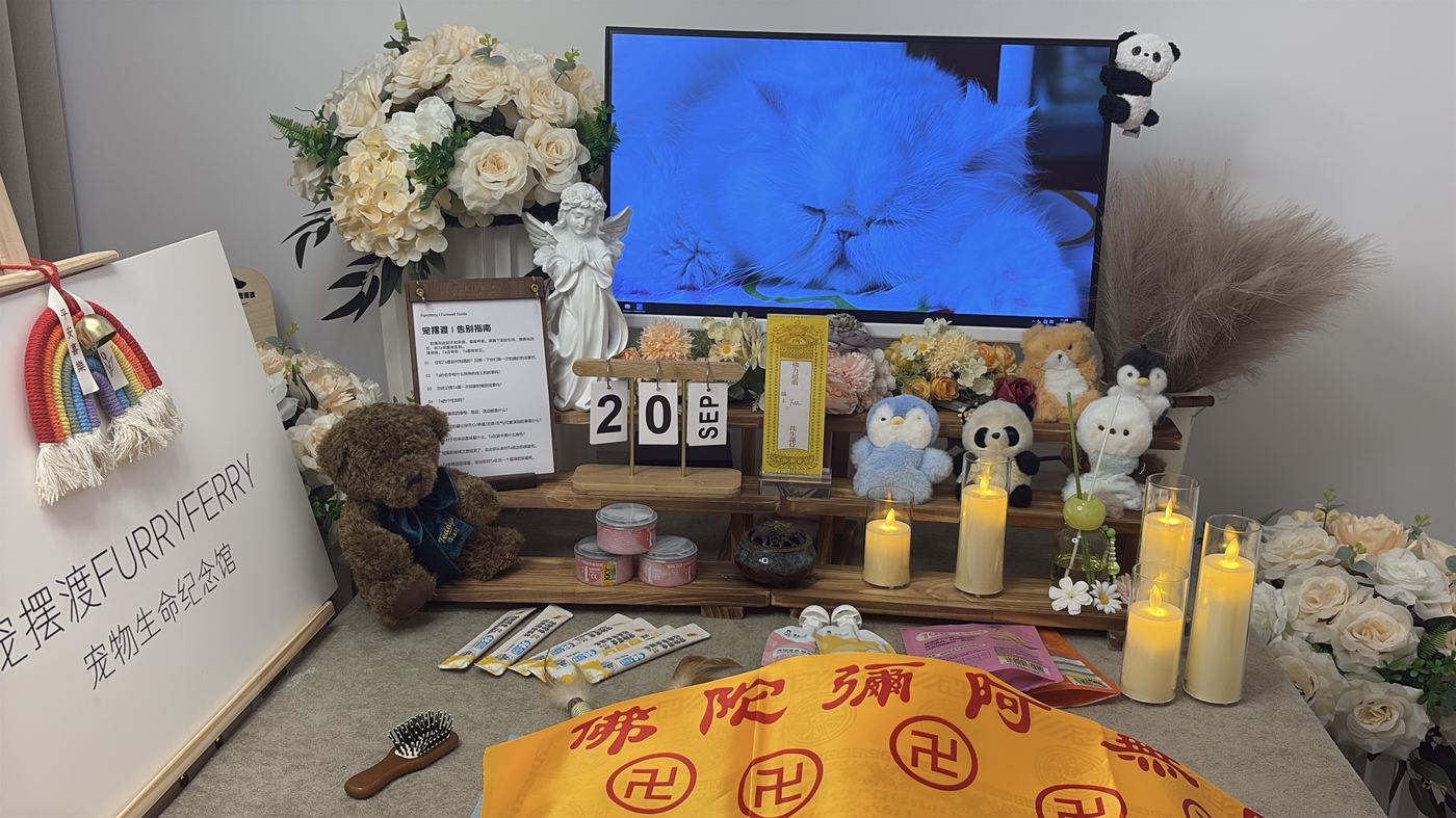二、每一笔钱花在哪里
