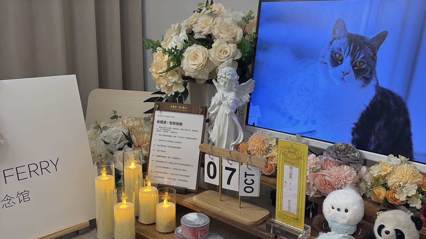 怎么拿到死亡证明